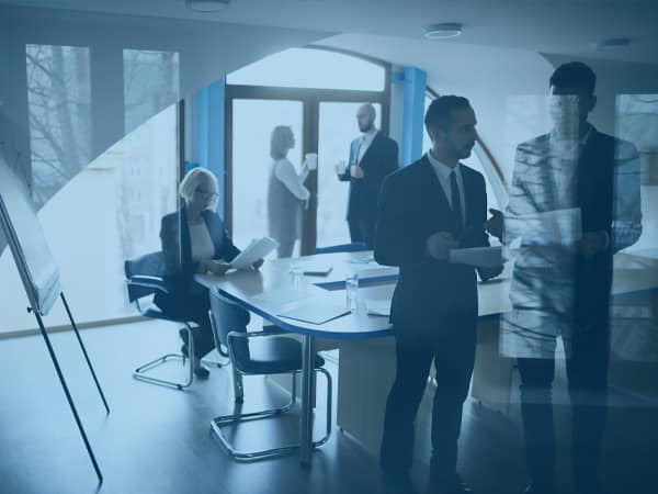 Executive Advisement