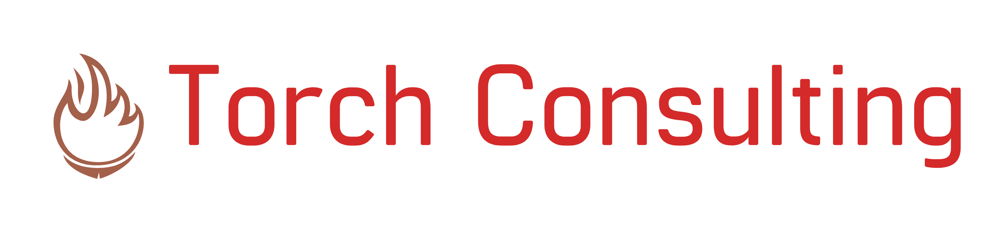 torch consulting